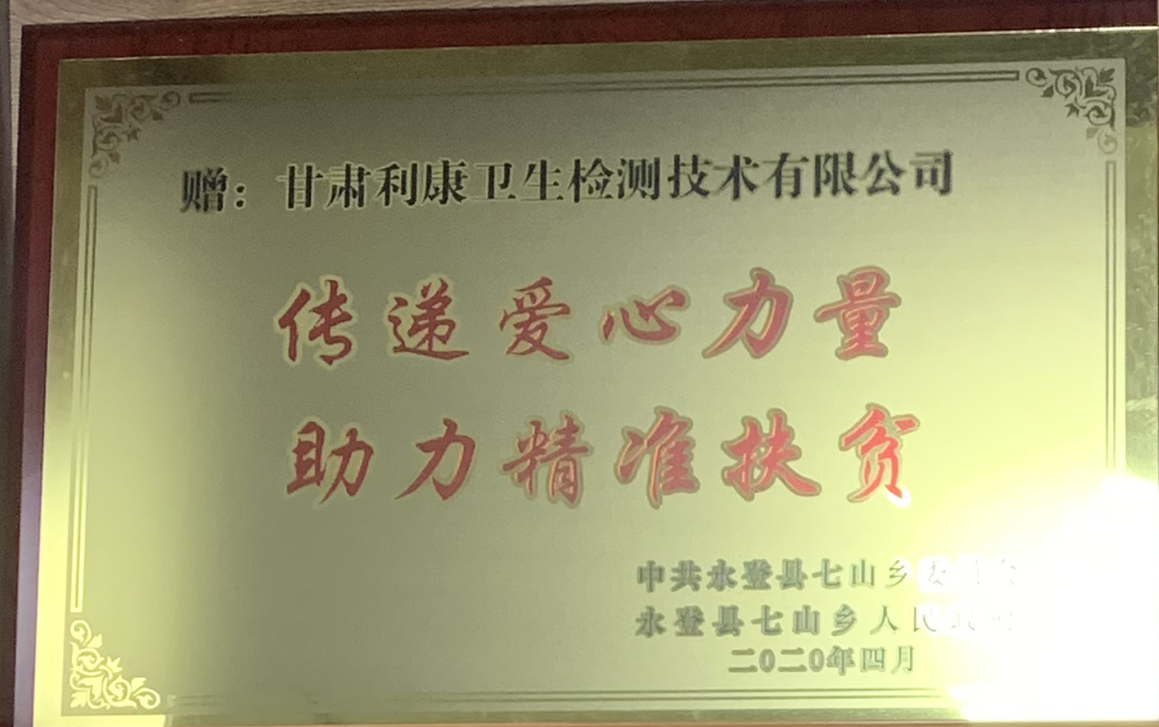 兰州市永登县赠予：传递爱心力量，助力精准扶贫